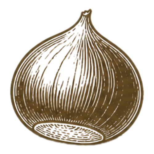 castagna disegnata