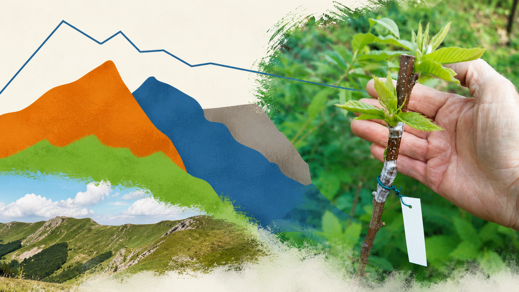 La prima Scuola della Rete Slow Food dei Castanicoltori è partita dalla Montagna Pistoiese