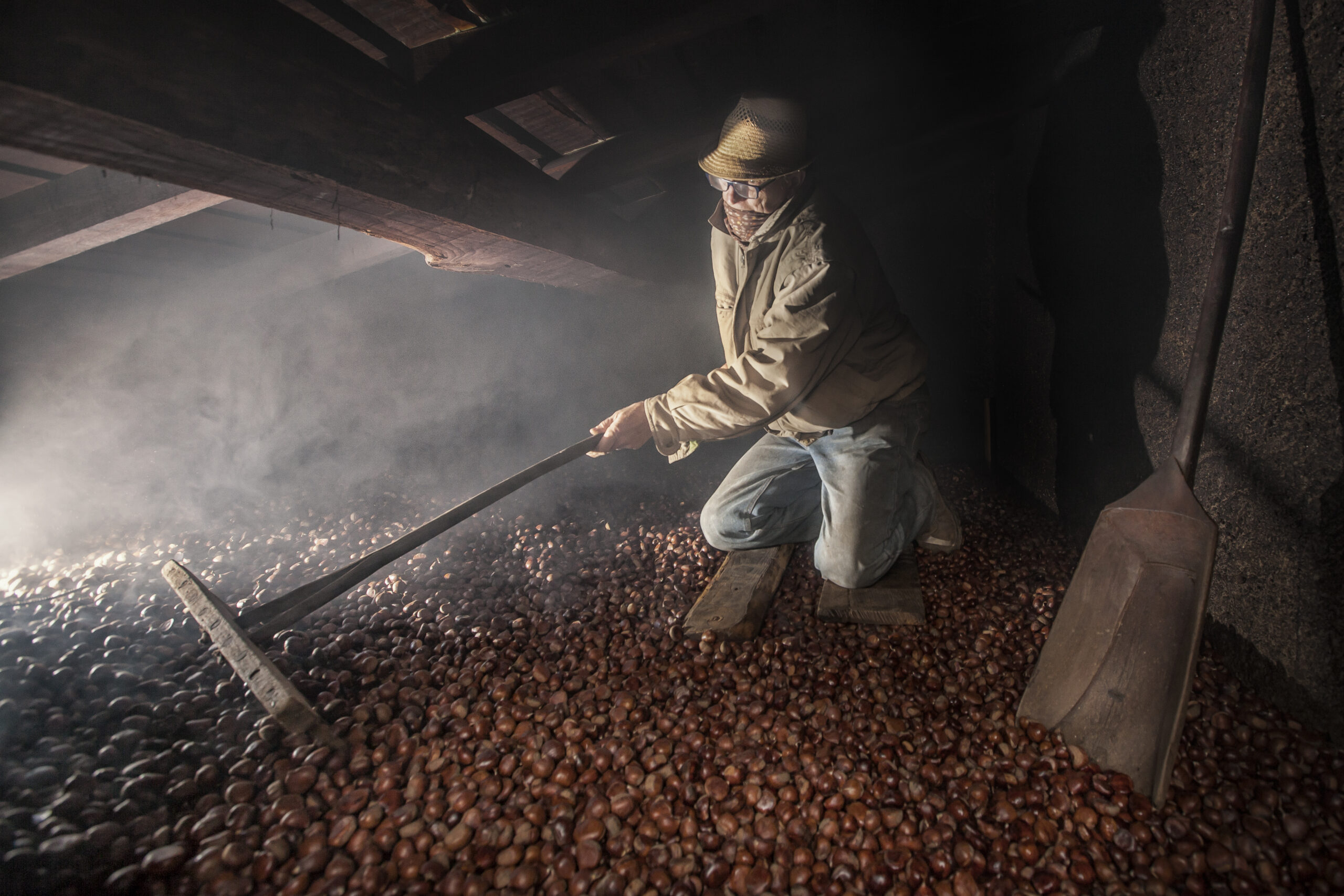 castanicoltore al lavoro nel metato